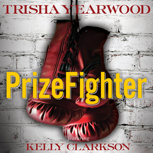 PrizeFighter (song)